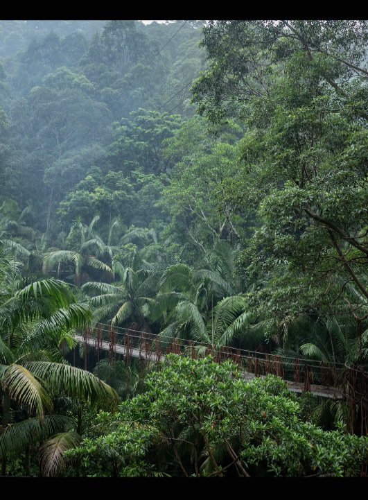 Dschungelcamp Behind the Scenes 15