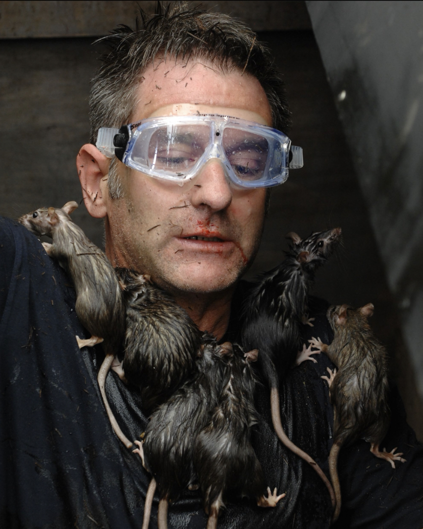 Auch über sich selbst